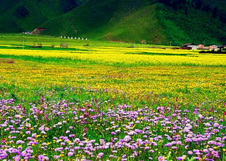 昆明出發到大理(lǐ)三塔、洱海、雙廊、麗江玉龍雪(xuě)山(shān)、香格裏拉虎跳峽6晚7日旅遊團